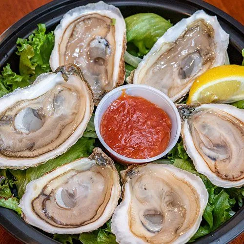 Fresh oysters on the half shell